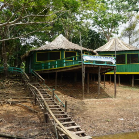Jungle lodge 2